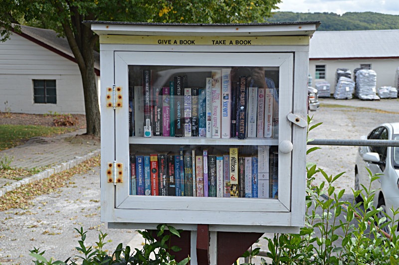 Photo of the Little Free Library